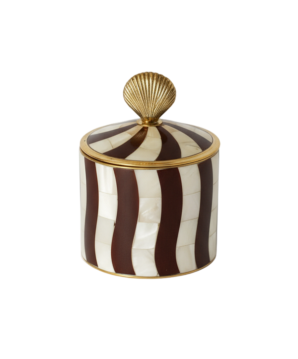 Abby Shell Circus Burgundy Box