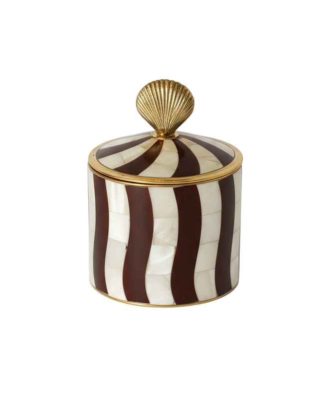 Abby Shell Circus Burgundy Box